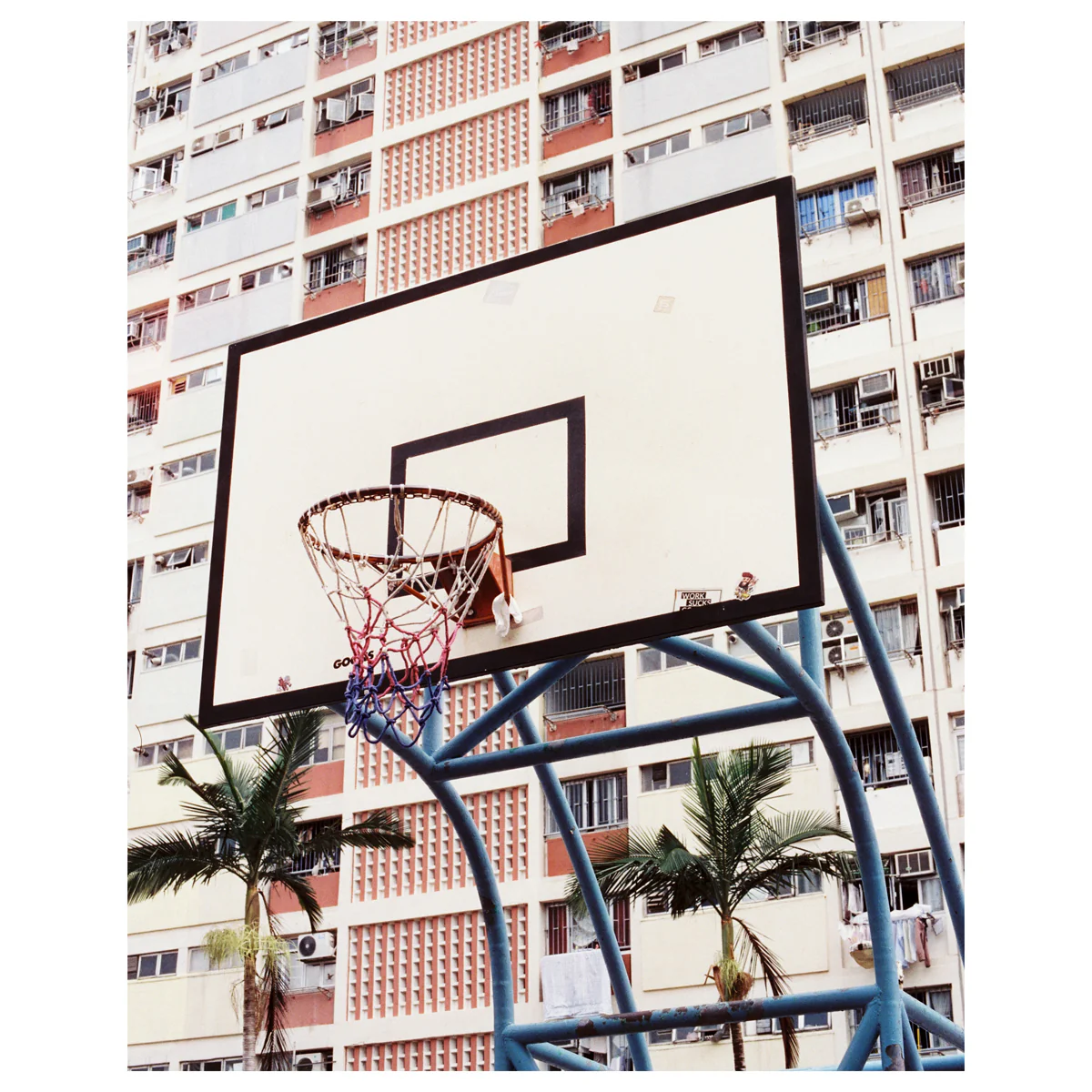 Mr. Negative DayLIGHT Robbery 400 35mm 36 exp - Image 7