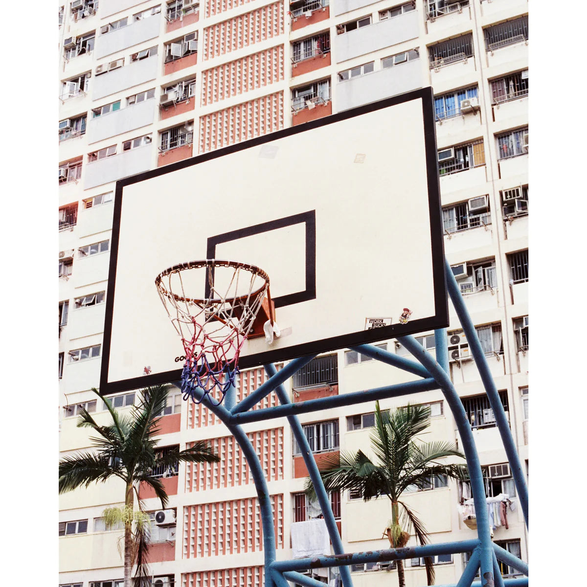 DayLIGHT Robbery & Mr. Negative 700S (Combo Brick 10 Rolls) 35mm 36 exp - Image 11