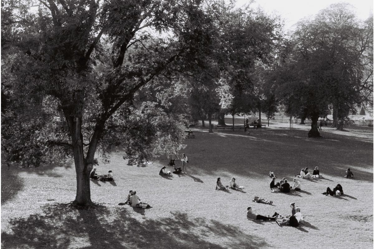 Berlin Kino B&W 35 mm ISO 400 - Image 12