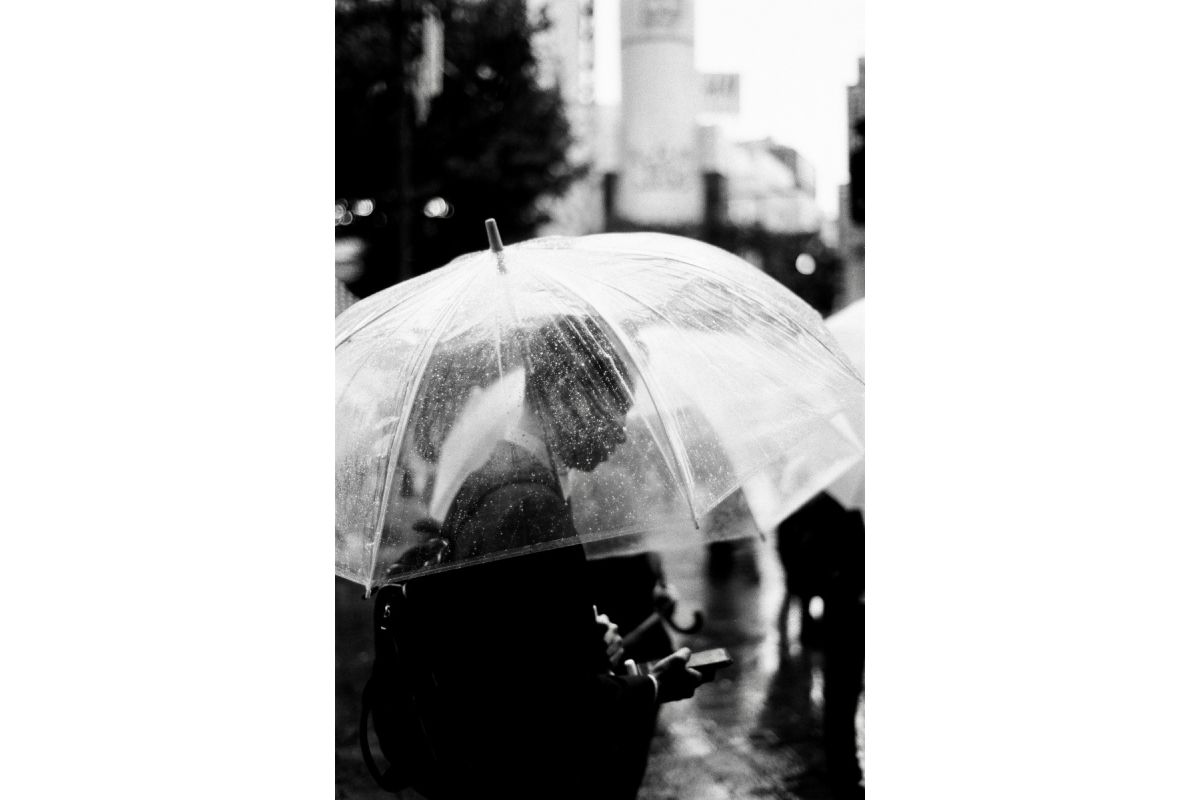 Earl Grey B&W 35 mm ISO 100 – Pack of 3 Short Dated - Image 7