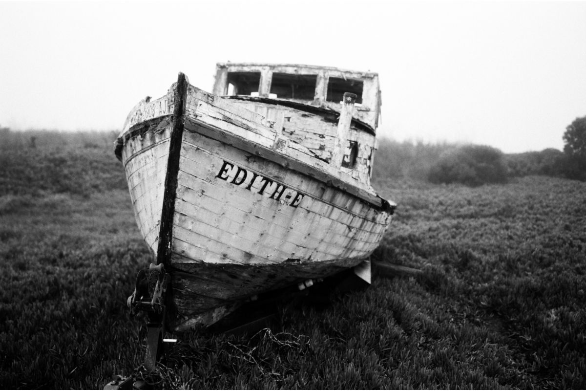 Earl Grey B&W 35 mm ISO 100 – Pack of 3 Short Dated - Image 6