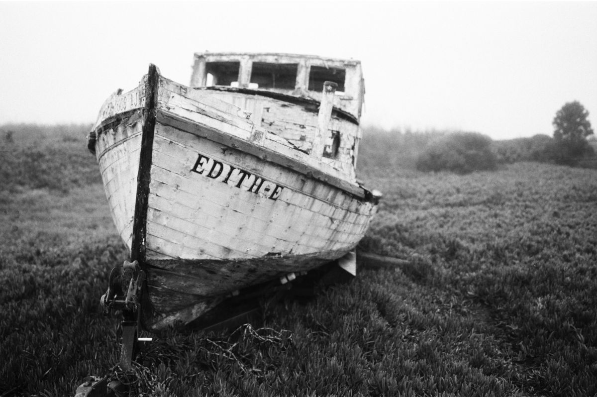Potsdam Kino B&W 35 mm ISO 100 - Image 2