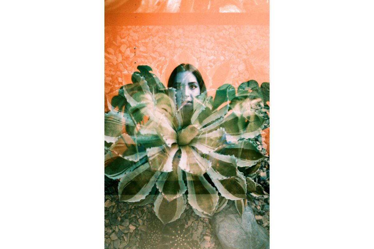 LomoChrome Turquoise 35 mm ISO 100–400 - Image 3