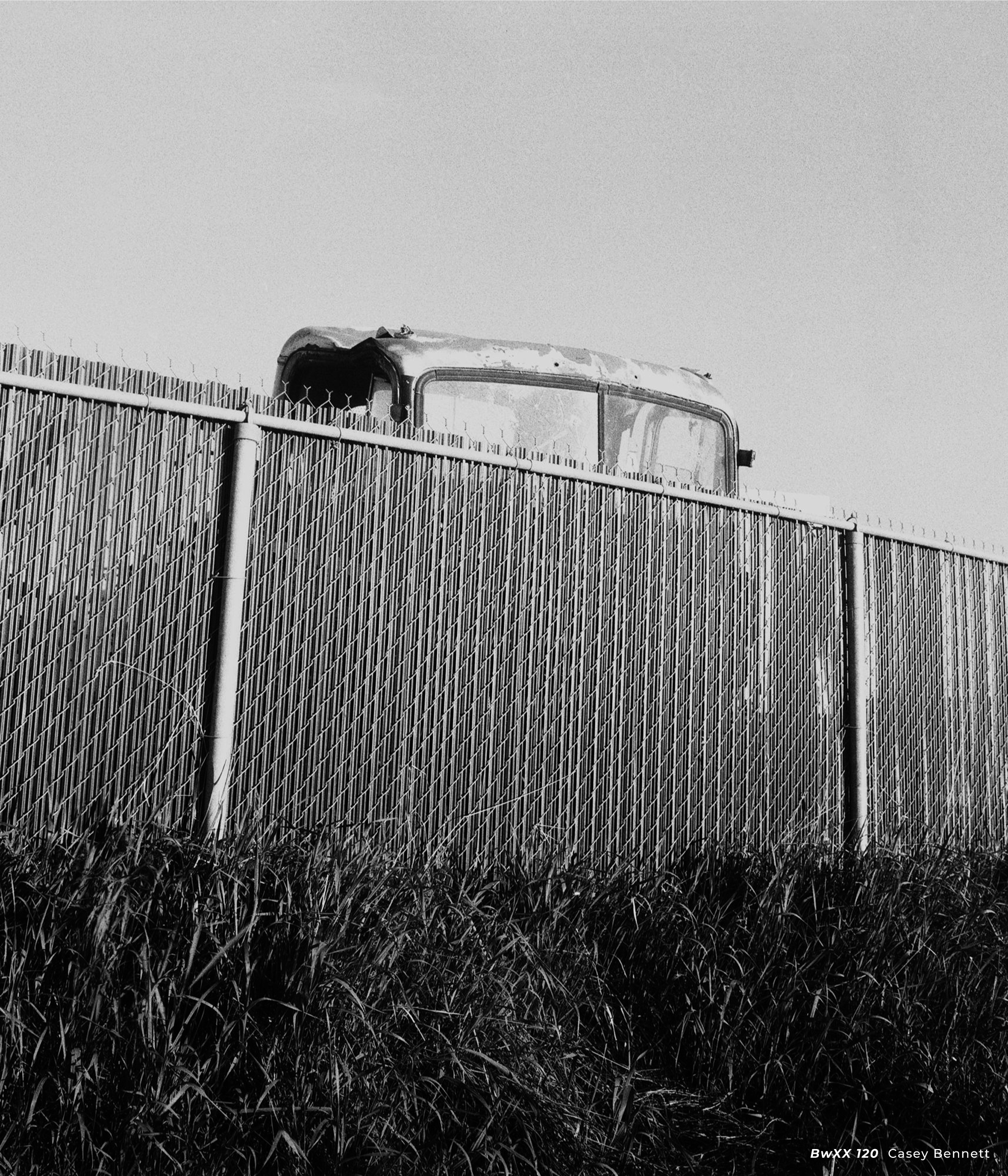 CineStill BwXX (Double-X) Black and White Negative Film, ISO 250 120 Roll - Image 14