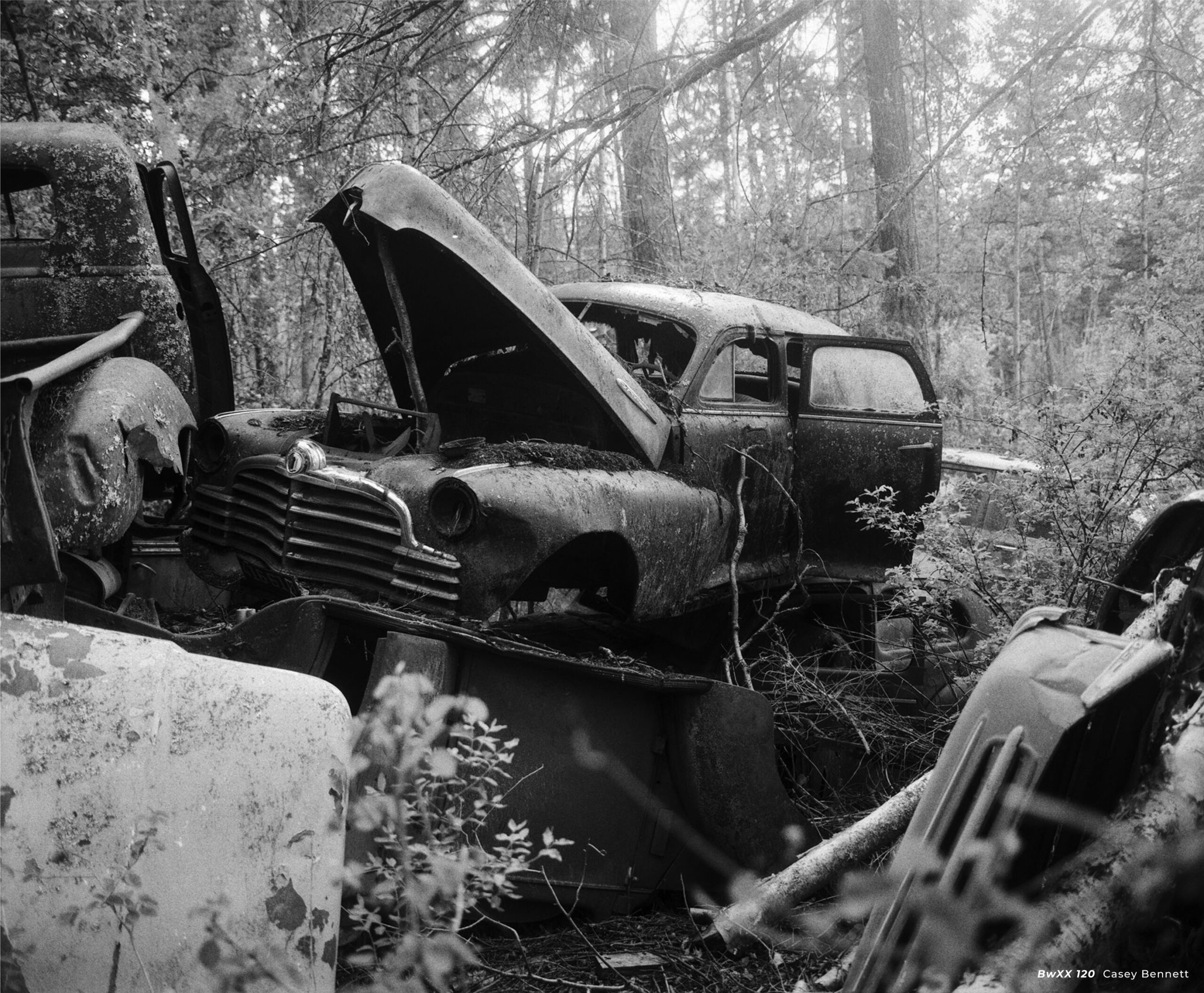 CineStill BwXX (Double-X) Black and White Negative Film, ISO 250 120 Roll - Image 13