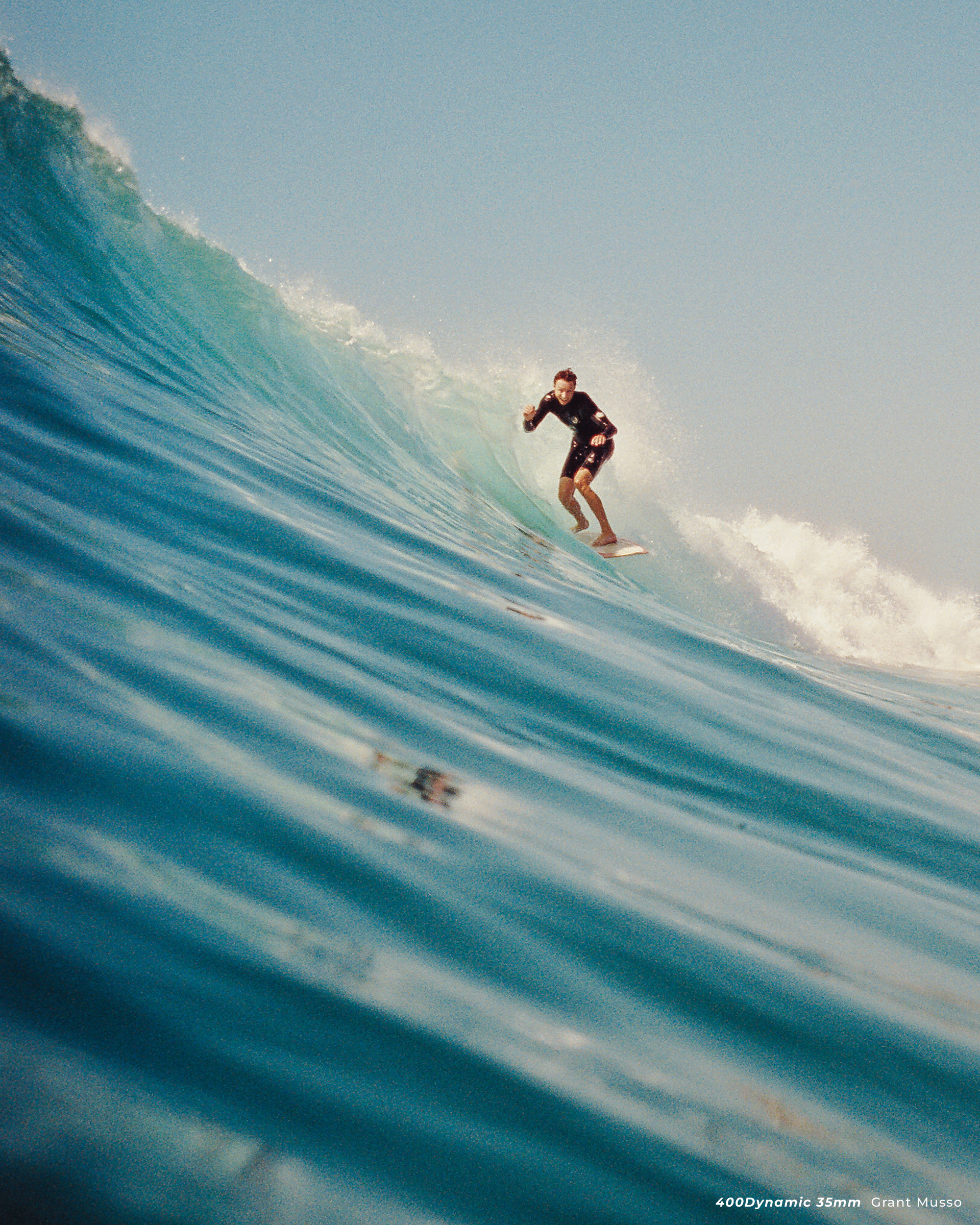 Professional Color pack 4pcs - Image 20