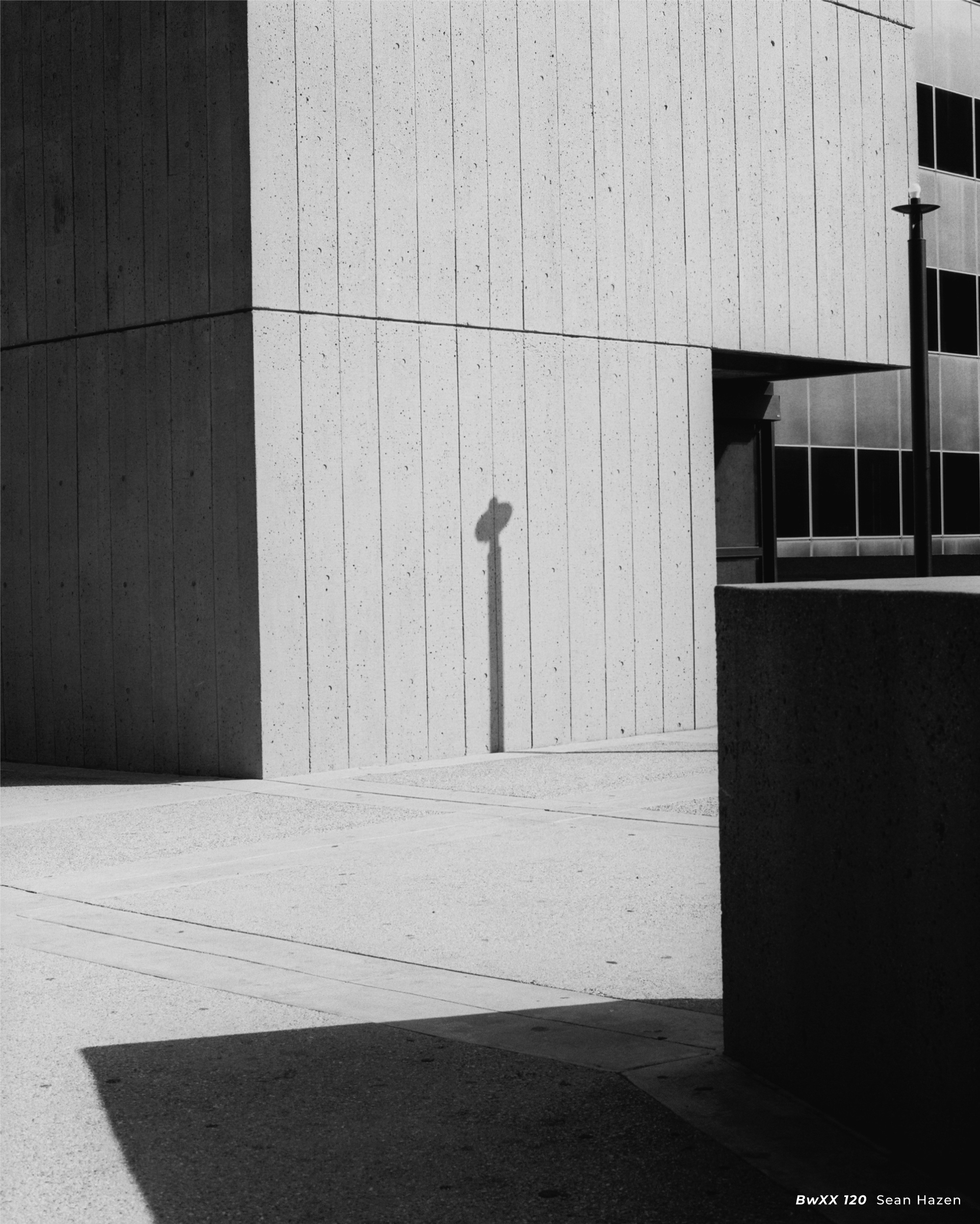 CineStill BwXX (Double-X) Black and White Negative Film, ISO 250 120 Roll - Image 6