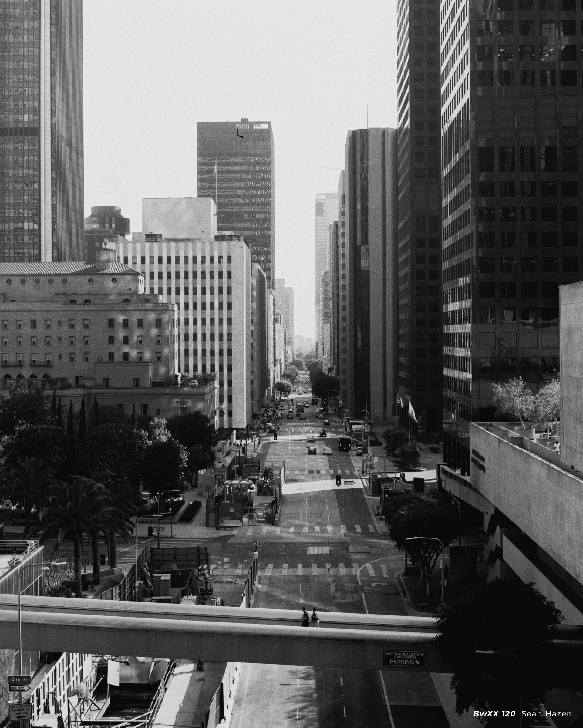 CineStill BwXX (Double-X) Black and White Negative Film, ISO 250 120 Roll - Image 5