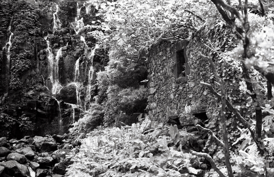 Opening Very Very Special pack 12pcs - Image 20