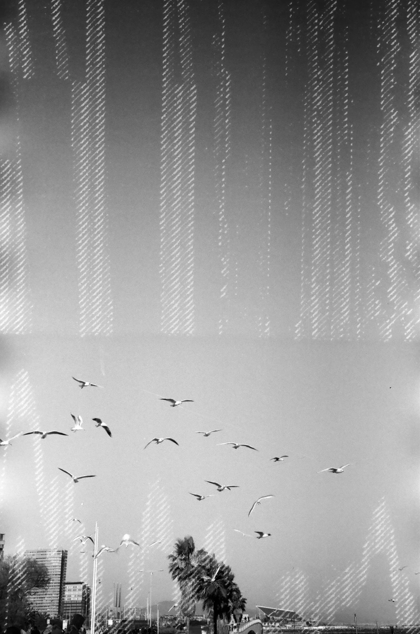 Dubblefilm GLITCH black & white 35mm - Image 3