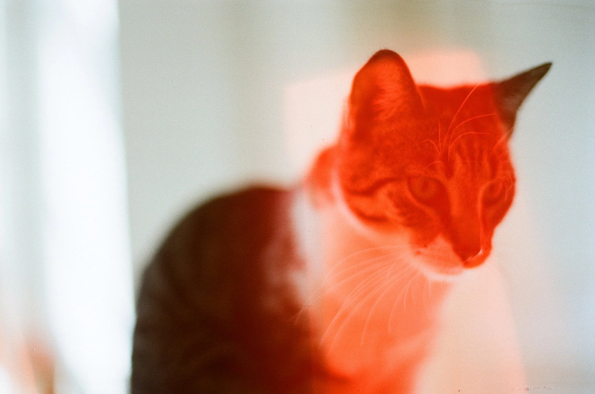 Dubblefilm SOLAR 35mm - Image 4