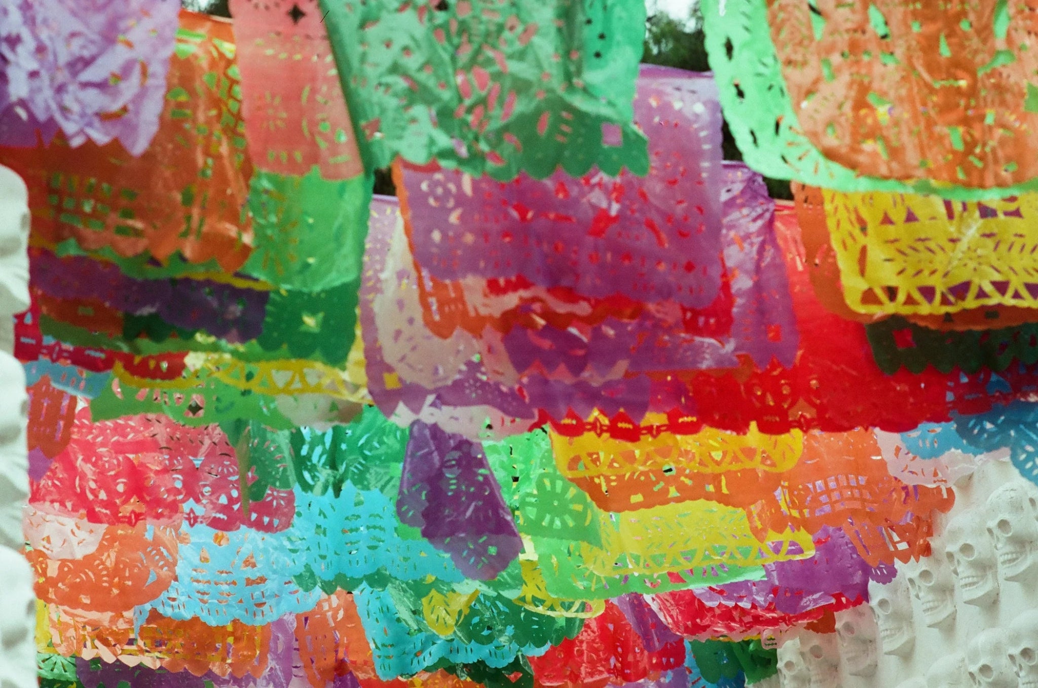 Dubblefilm TREAT 35mm - Image 2