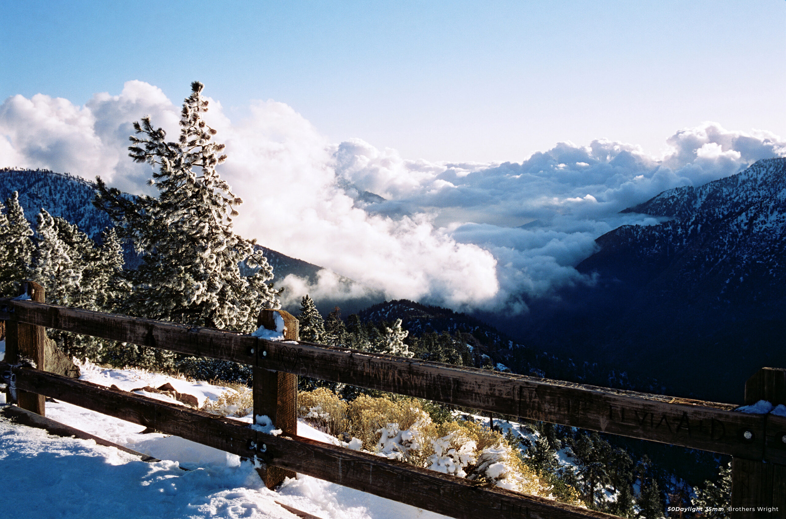 CineStill 50D ISO 50 35mm 36exp - Image 11