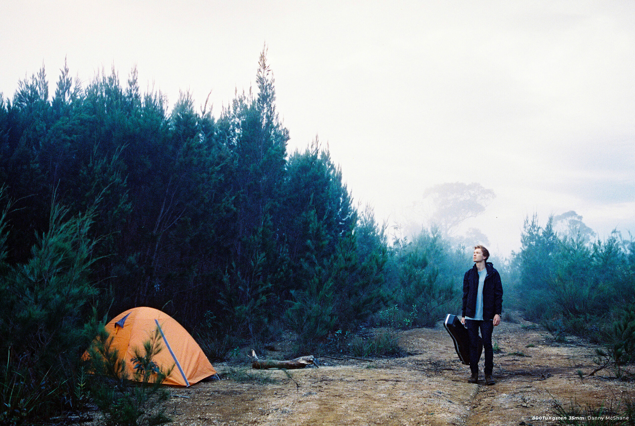 CineStill 800Tungsten High Speed Color Negative Film, ISO 800 35mm 36exp - Image 14