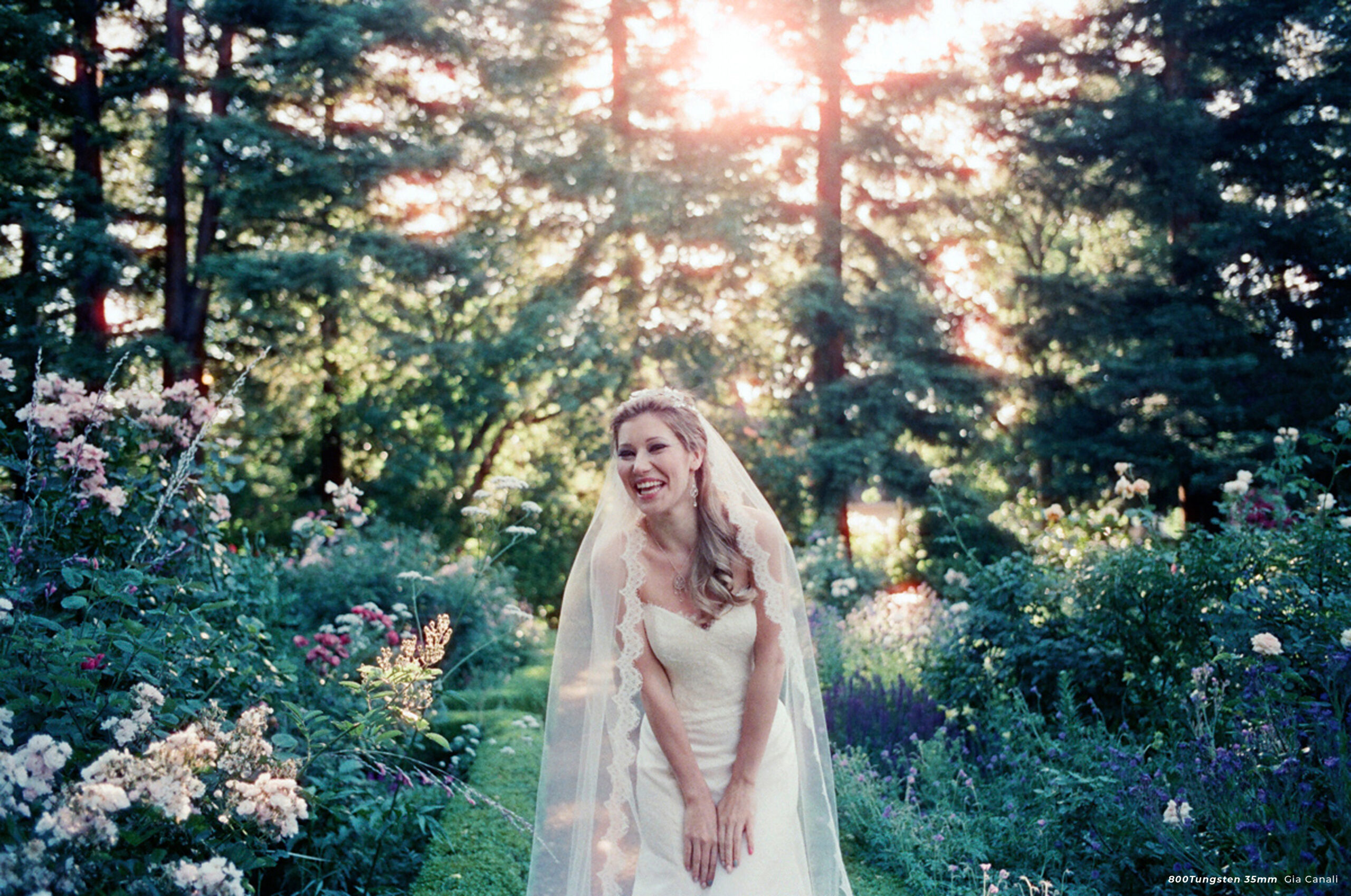 CineStill 800Tungsten High Speed Color Negative Film, ISO 800 35mm 36exp - Image 12