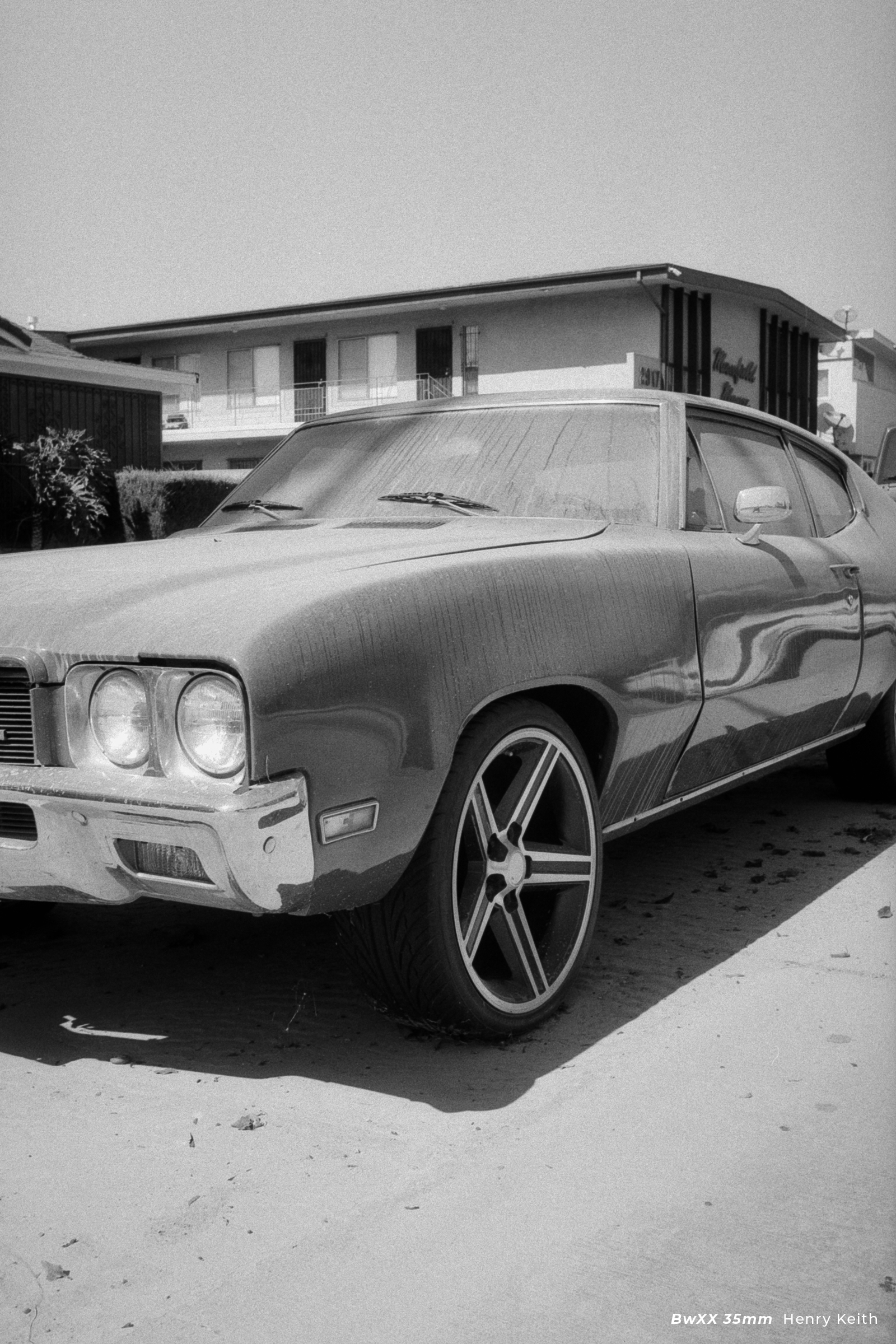 CineStill BwXX (Double-X) Black and White Negative Film, ISO 250 35mm 36 exp - Image 9