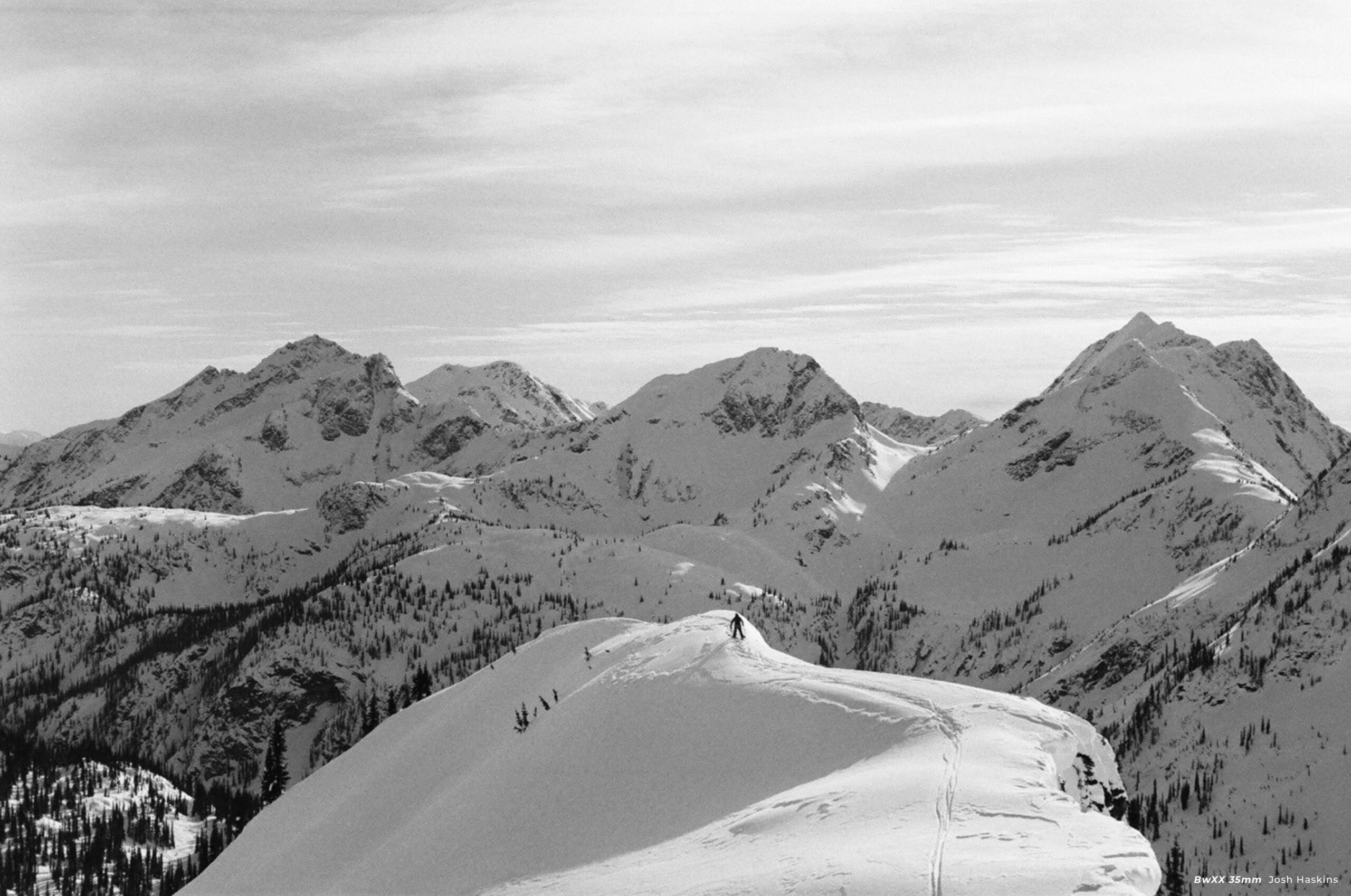 CineStill BwXX (Double-X) Black and White Negative Film, ISO 250 35mm 36 exp - Image 7