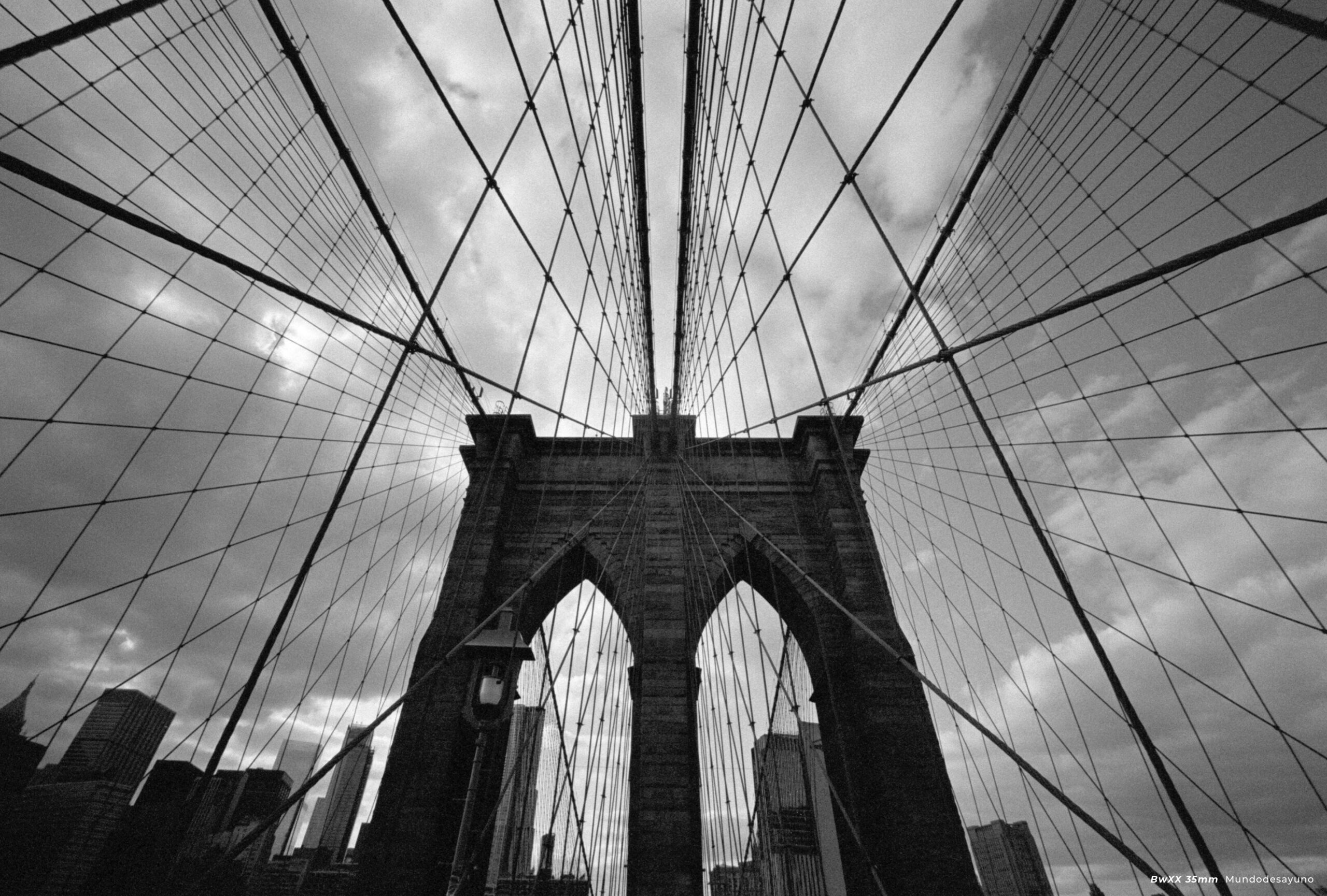 CineStill BwXX (Double-X) Black and White Negative Film, ISO 250 35mm 36 exp - Image 3