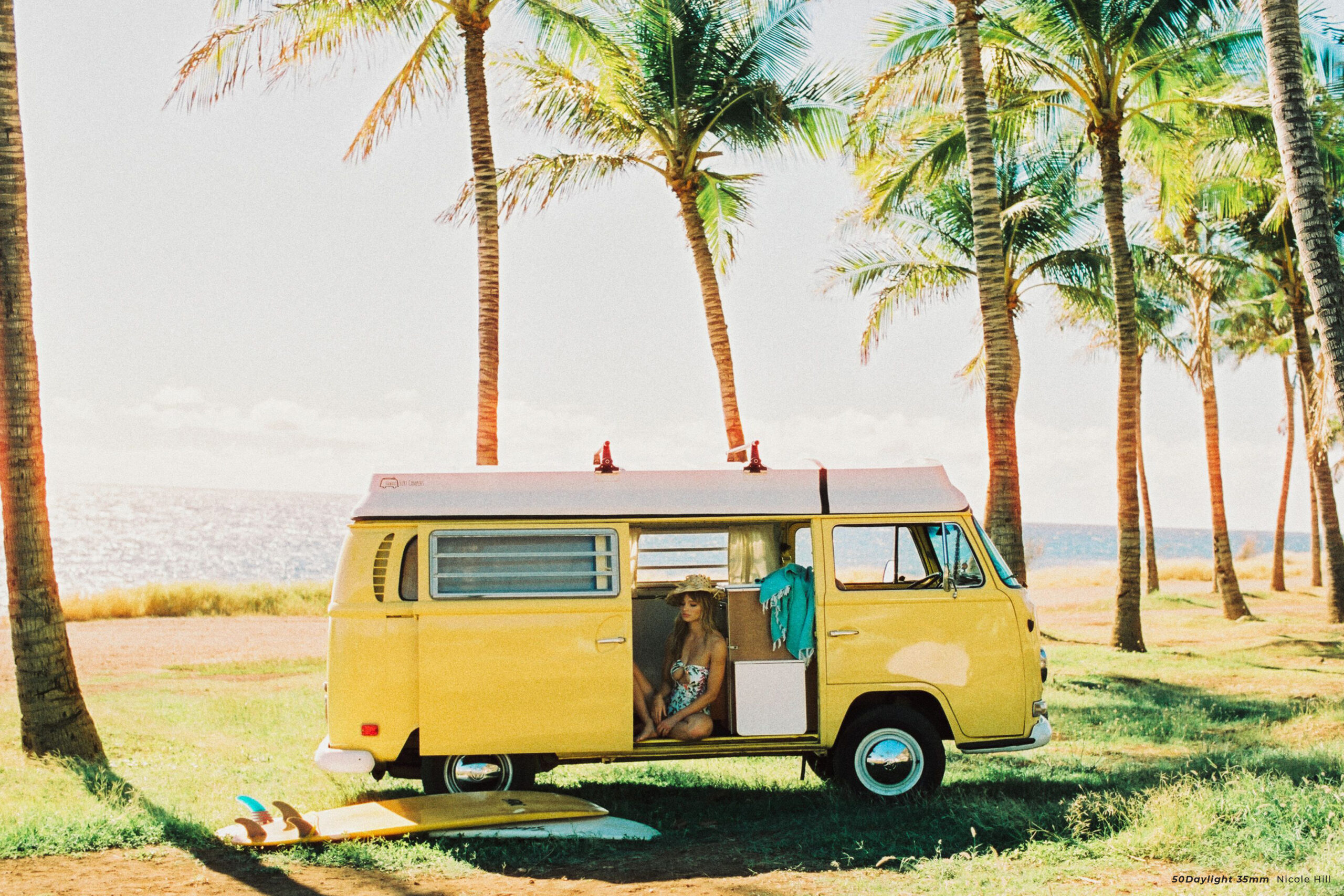 CineStill 50D ISO 50 35mm 36exp - Image 4