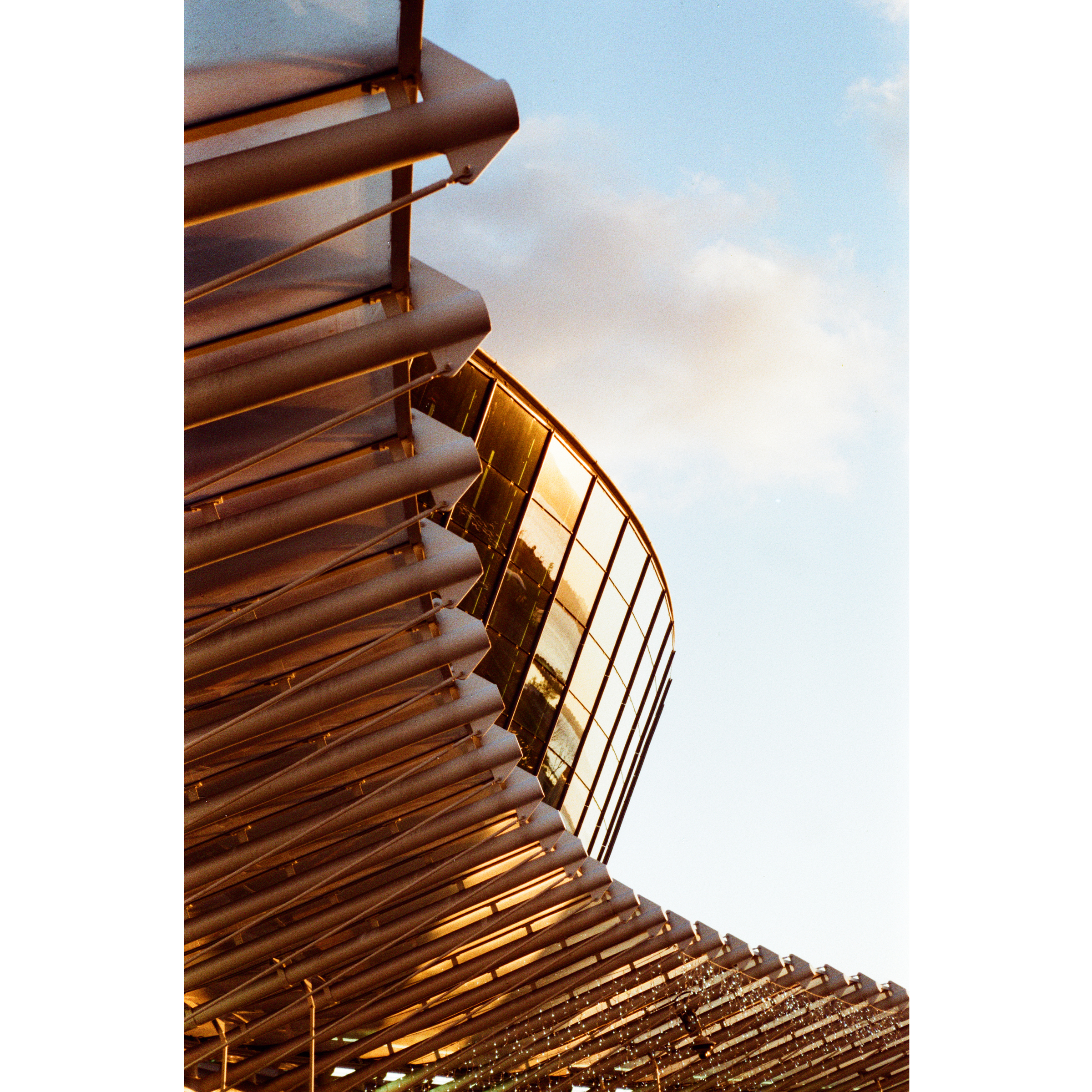 Professional Color pack 4pcs - Image 15