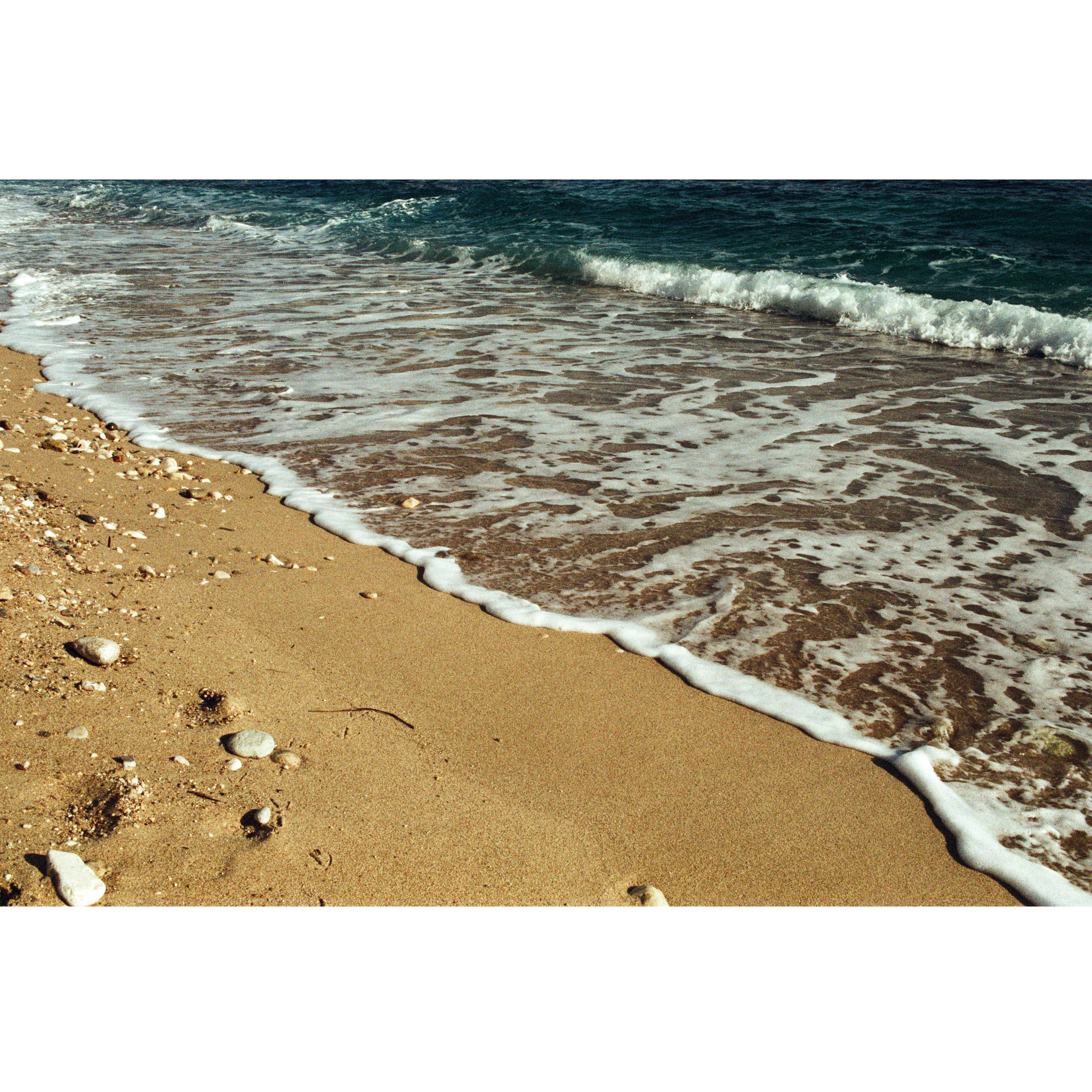 Professional Color pack 4pcs - Image 16