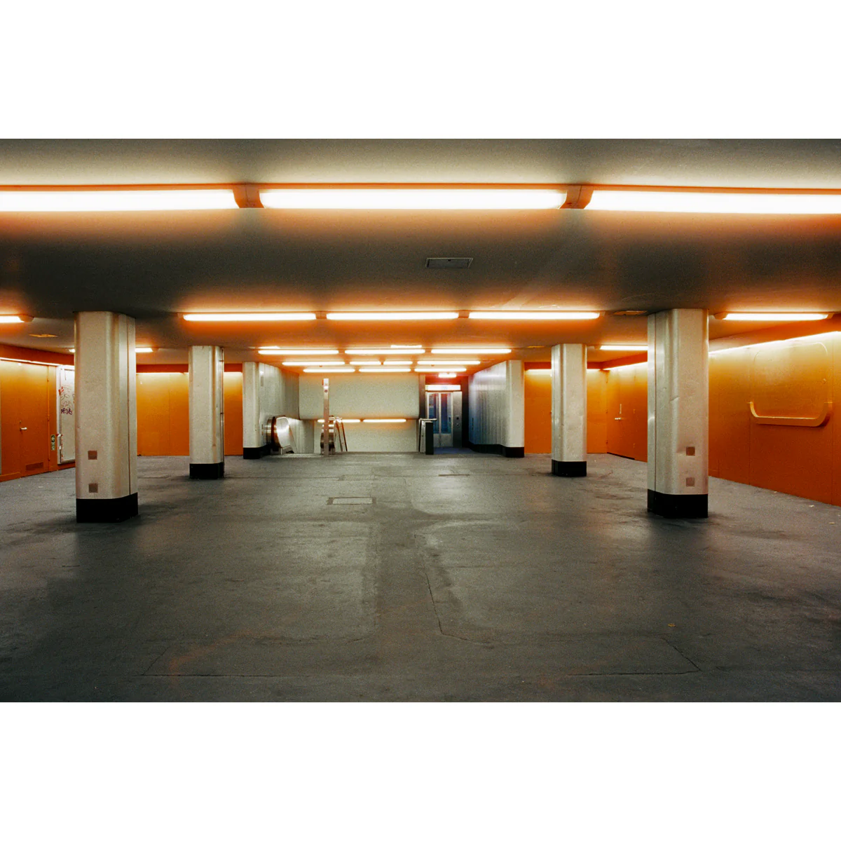 Mr. Negative 700S ISO 800 35mm 36 exp - Image 11